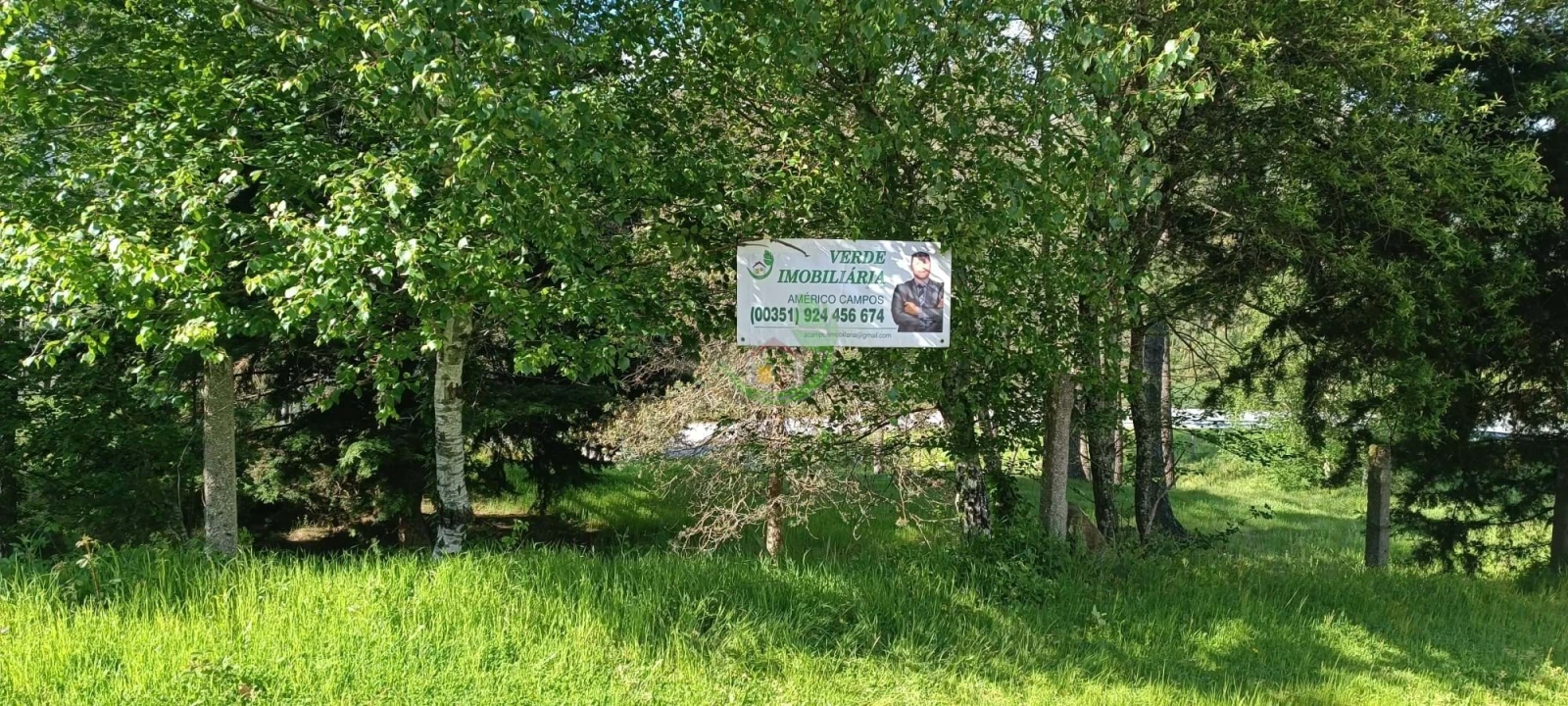 Terreno para Venda em Lindoso Foto 1