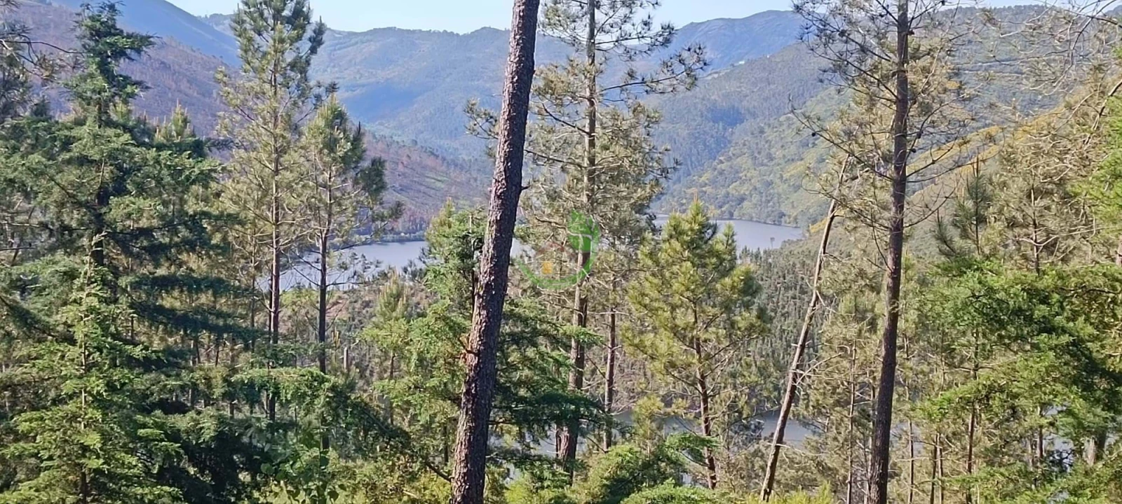 Terreno para Venda em Lindoso Foto 7