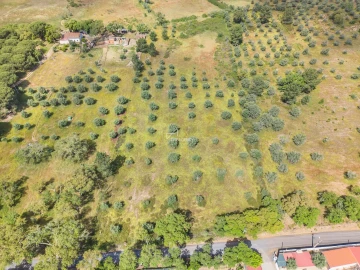 Terreno para Venda em Grândola e Santa Margarida da Serra