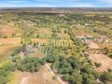 Terreno para Venda em Grândola e Santa Margarida da Serra
