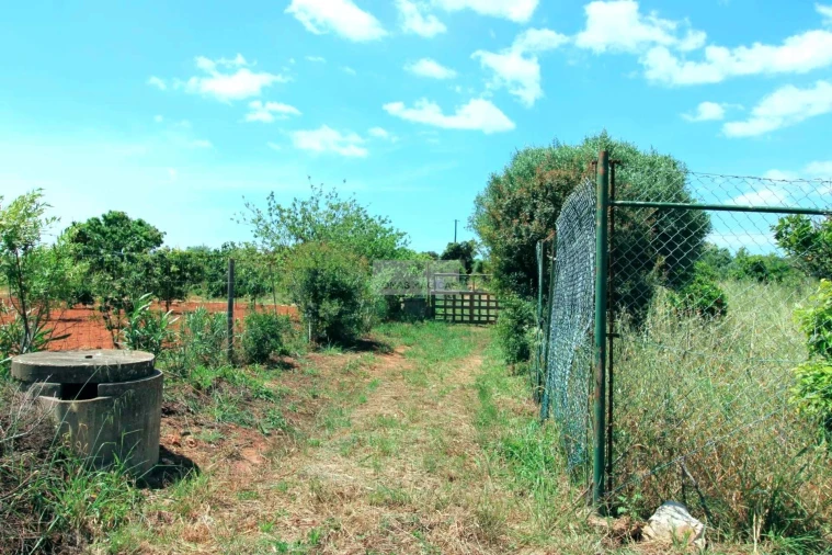 Terreno para Venda em Odiaxere Foto 26