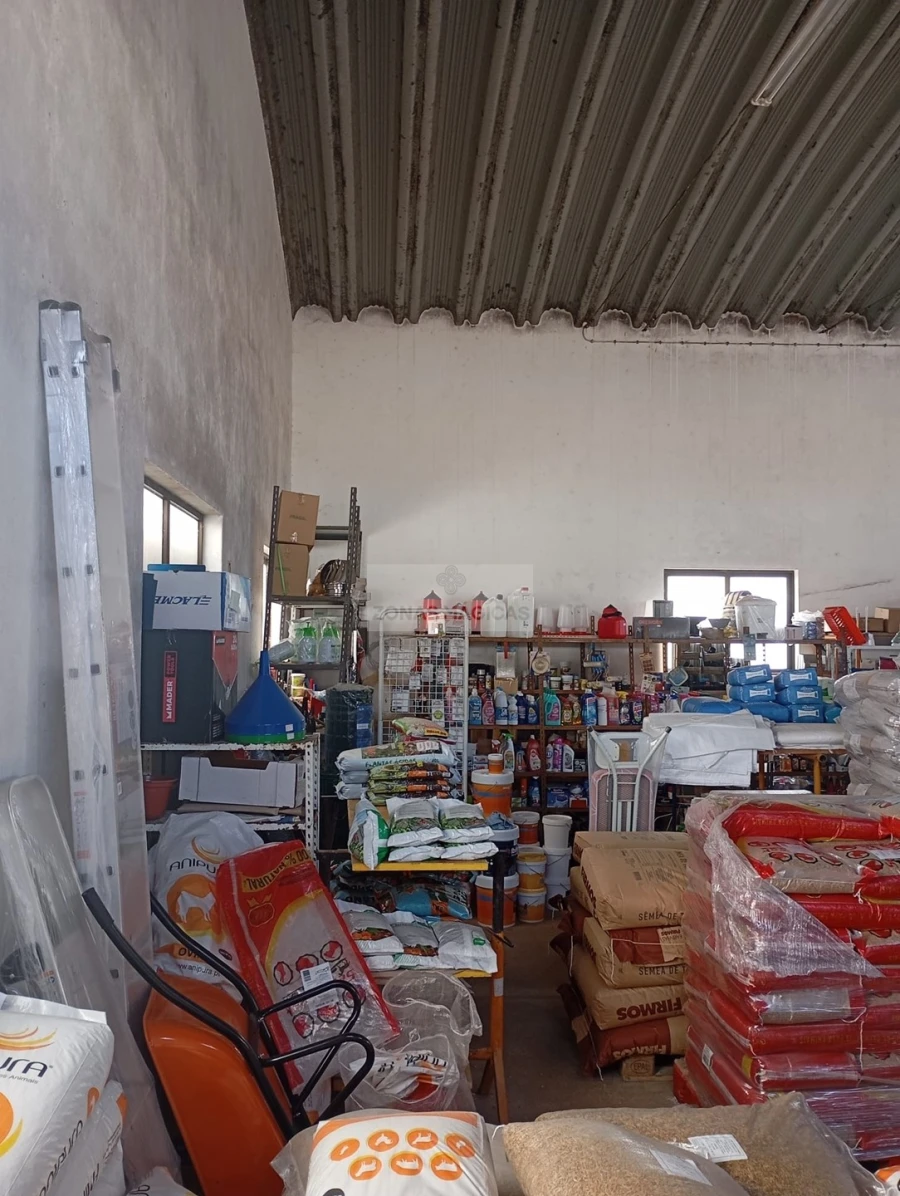 Negócio para Venda em Vila do Bispo e Raposeira Foto 13