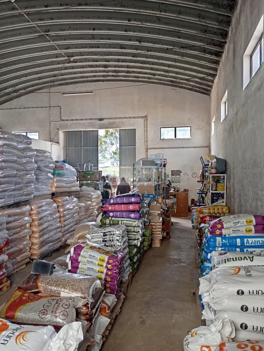 Negócio para Venda em Vila do Bispo e Raposeira Foto 12