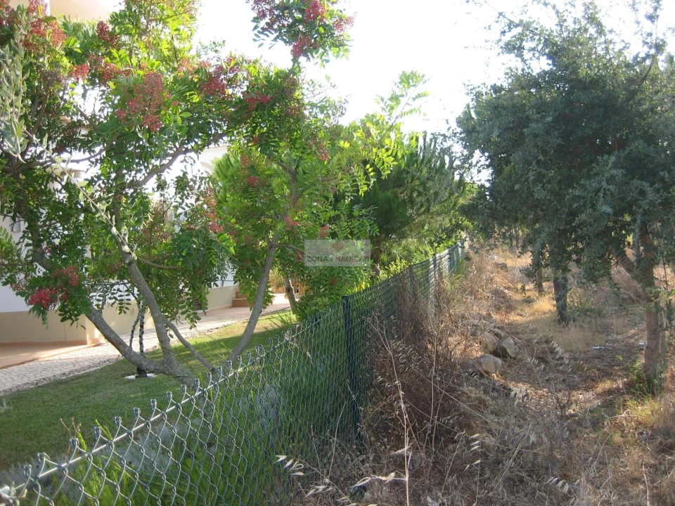 Terreno para Venda em Barão de São Miguel Foto 3