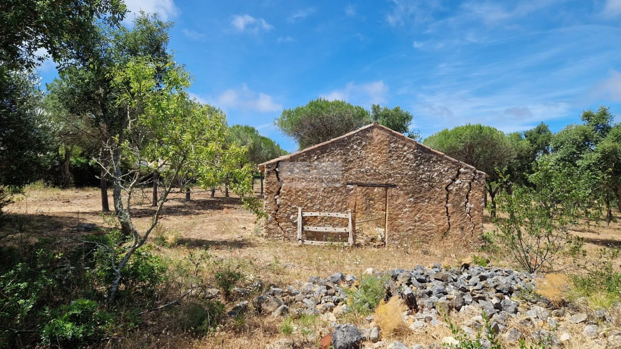 Terreno para Venda em Barão de São Miguel Foto 1