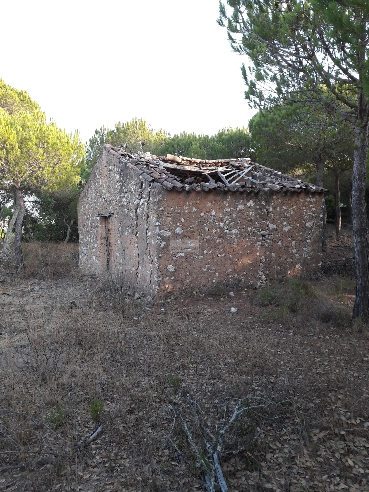 Terreno para Venda em Barão de São Miguel Foto 1