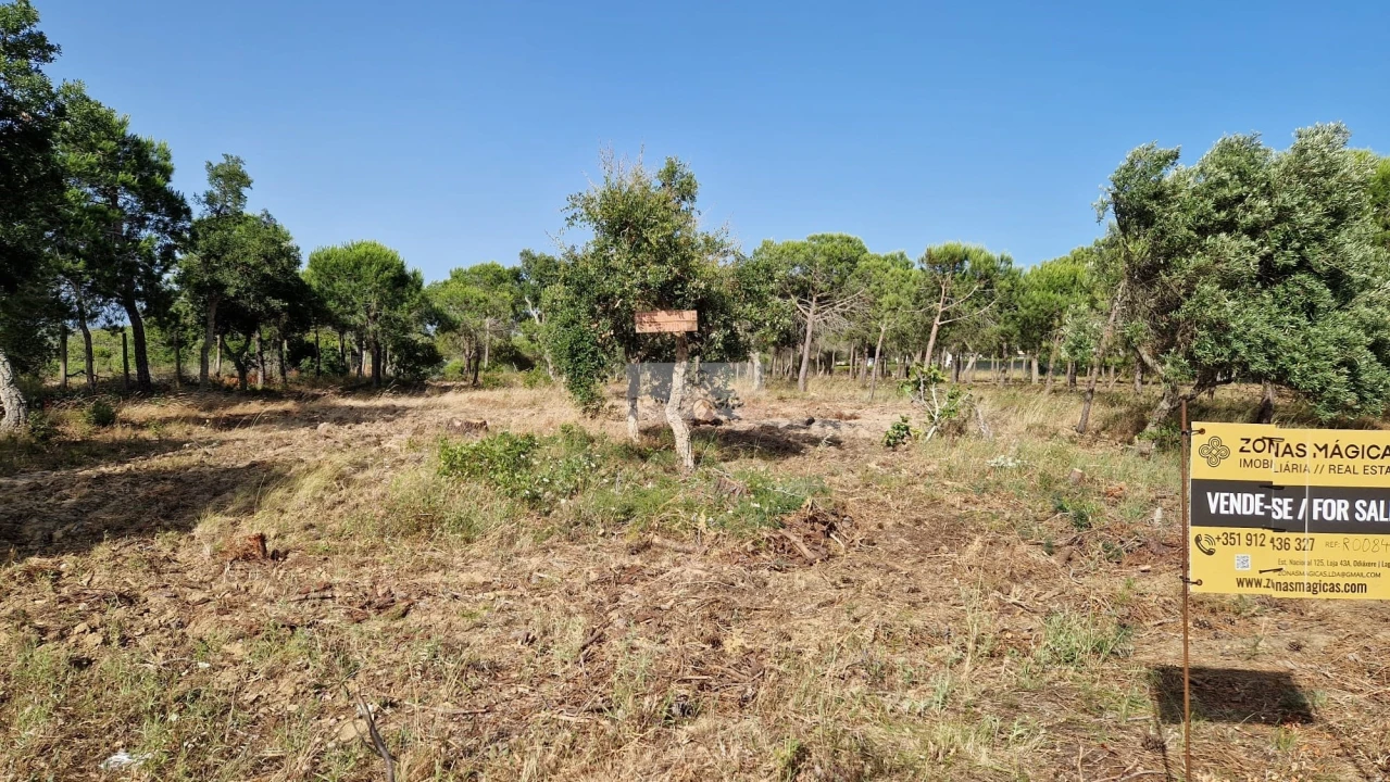 Terreno para Venda em Barão de São Miguel Foto 6