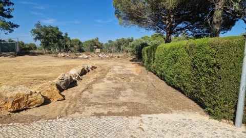 Terreno para Venda em Barão de São Miguel