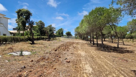 Terreno para Venda em Barão de São Miguel