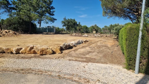 Terreno para Venda em Barão de São Miguel