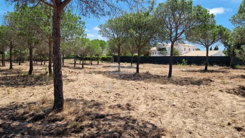 Terreno para Venda em Barão de São Miguel