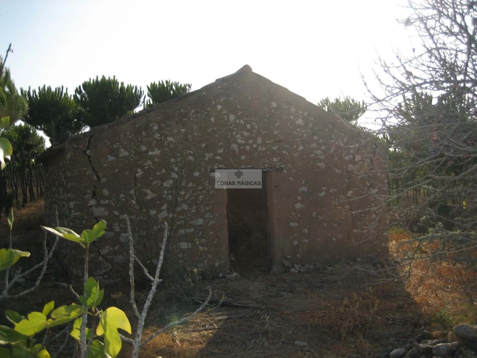 Terreno para Venda em Barão de São Miguel Foto 2