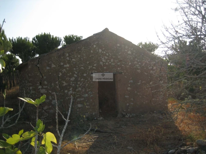 Terreno para Venda em Barão de São Miguel Foto 2