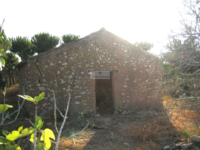 Terreno para Venda em Barão de São Miguel Foto 2