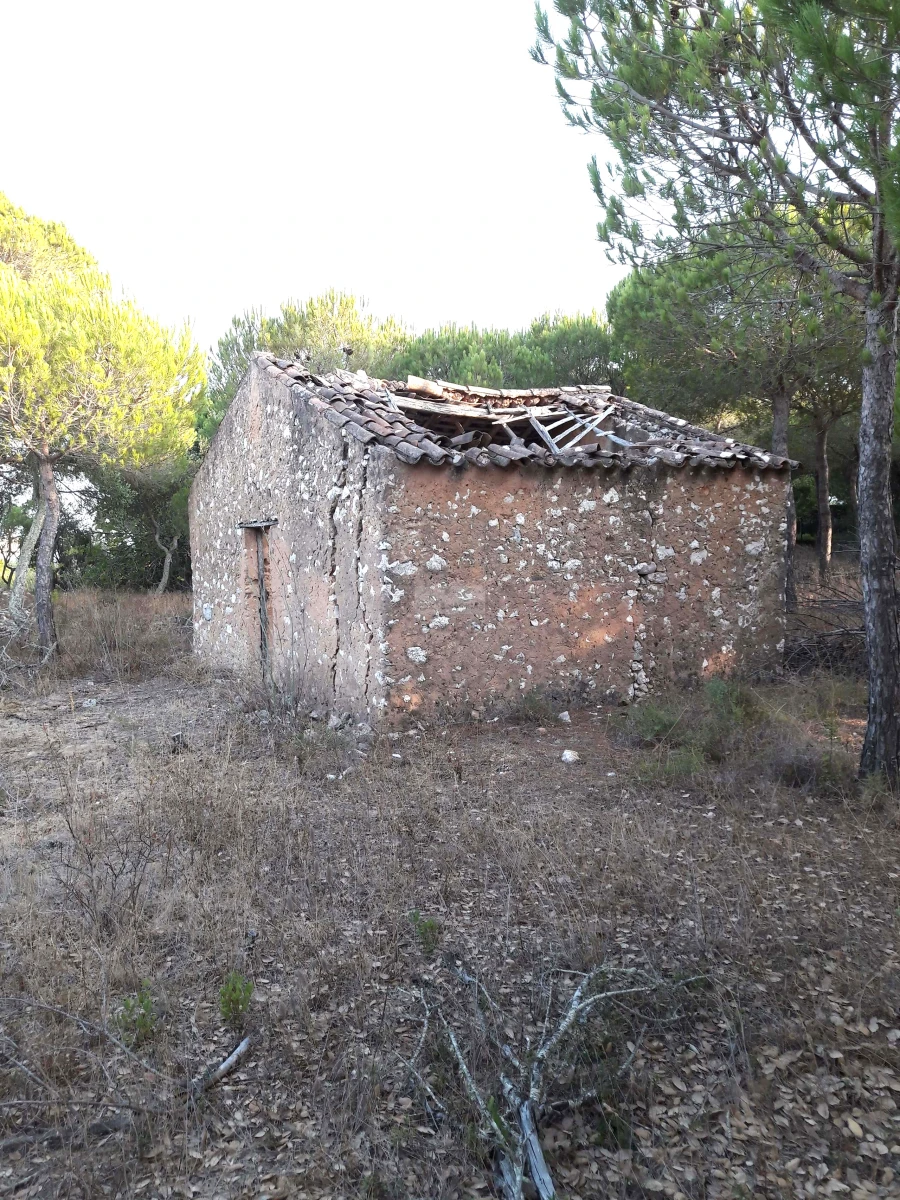 Terreno para Venda em Barão de São Miguel