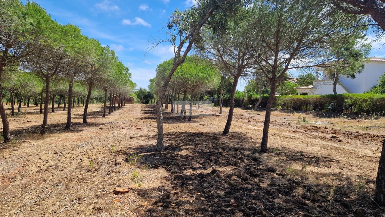 Terreno para Venda em Barão de São Miguel Foto 8