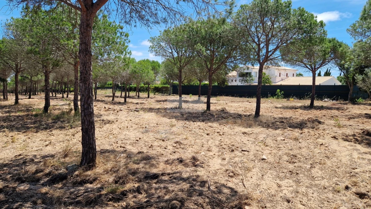 Terreno para Venda em Barão de São Miguel Foto 11