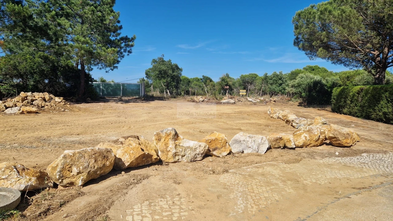 Terreno para Venda em Barão de São Miguel Foto 5
