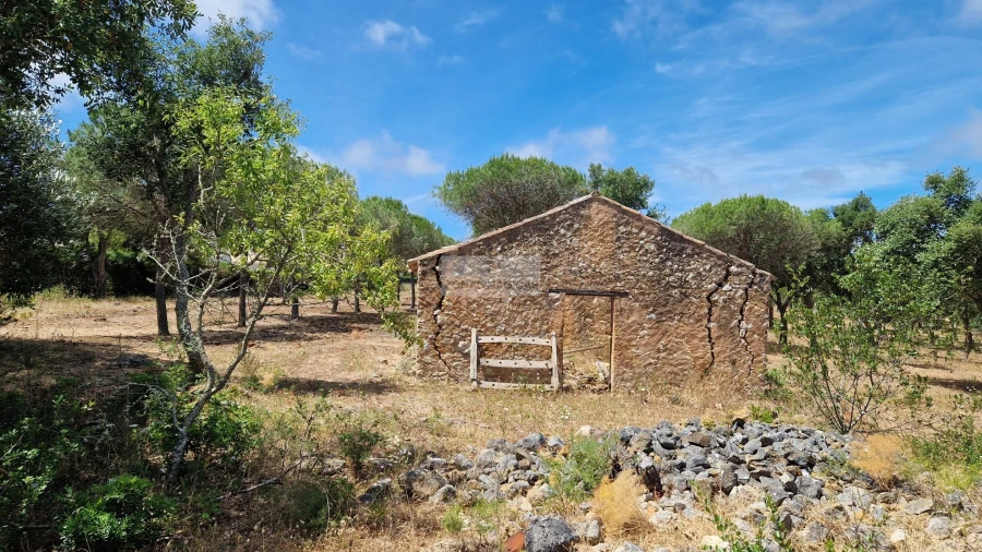 Terreno para Venda em Barão de São Miguel