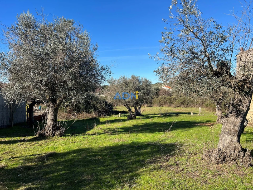 Terreno para Venda em Castelo Branco Foto 4