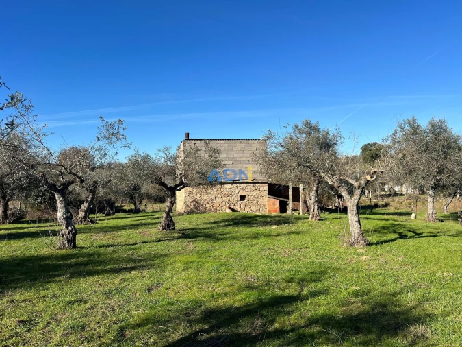 Terreno para Venda em Castelo Branco Foto 2