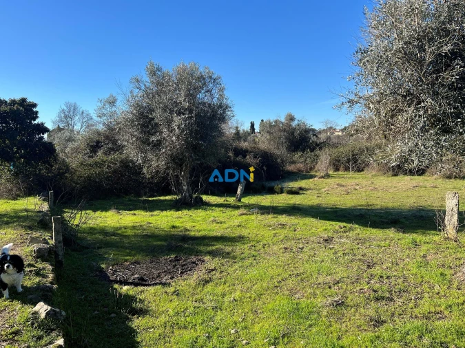 Terreno para Venda em Castelo Branco Foto 7