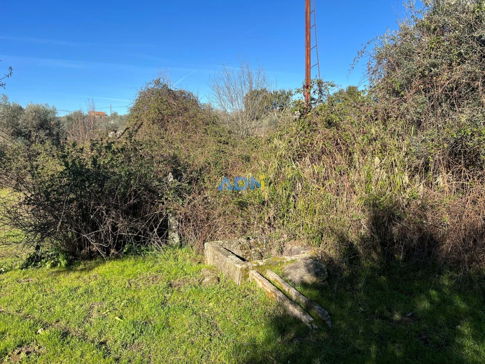 Terreno para Venda em Castelo Branco Foto 6