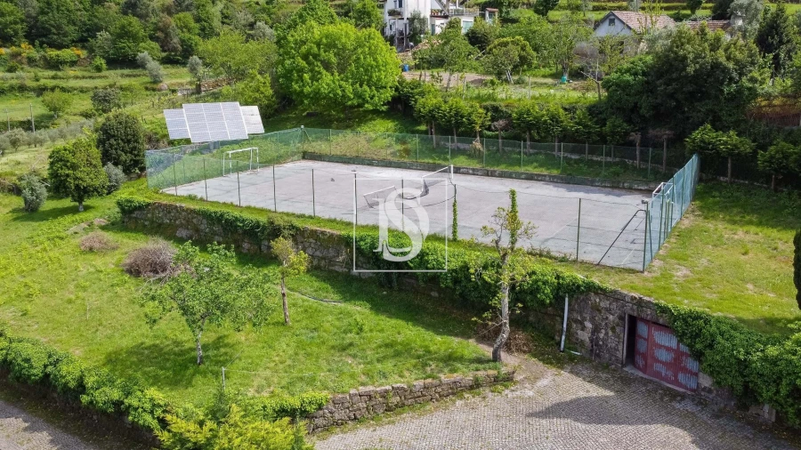 Quinta T10 para Venda em Alhões, Bustelo, Gralheira e Ramires Foto 6