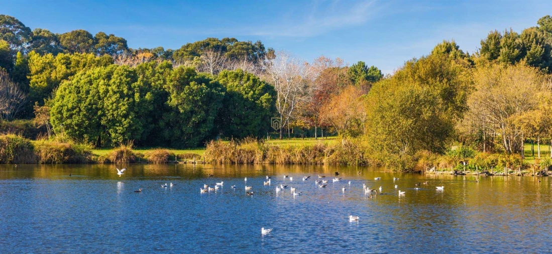 Apartamento T3 para Venda em Matosinhos e Leça da Palmeira Foto 23