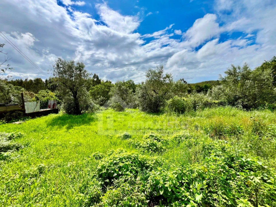Moradia T4 para Venda em Figueiró dos Vinhos e Bairradas Foto 11