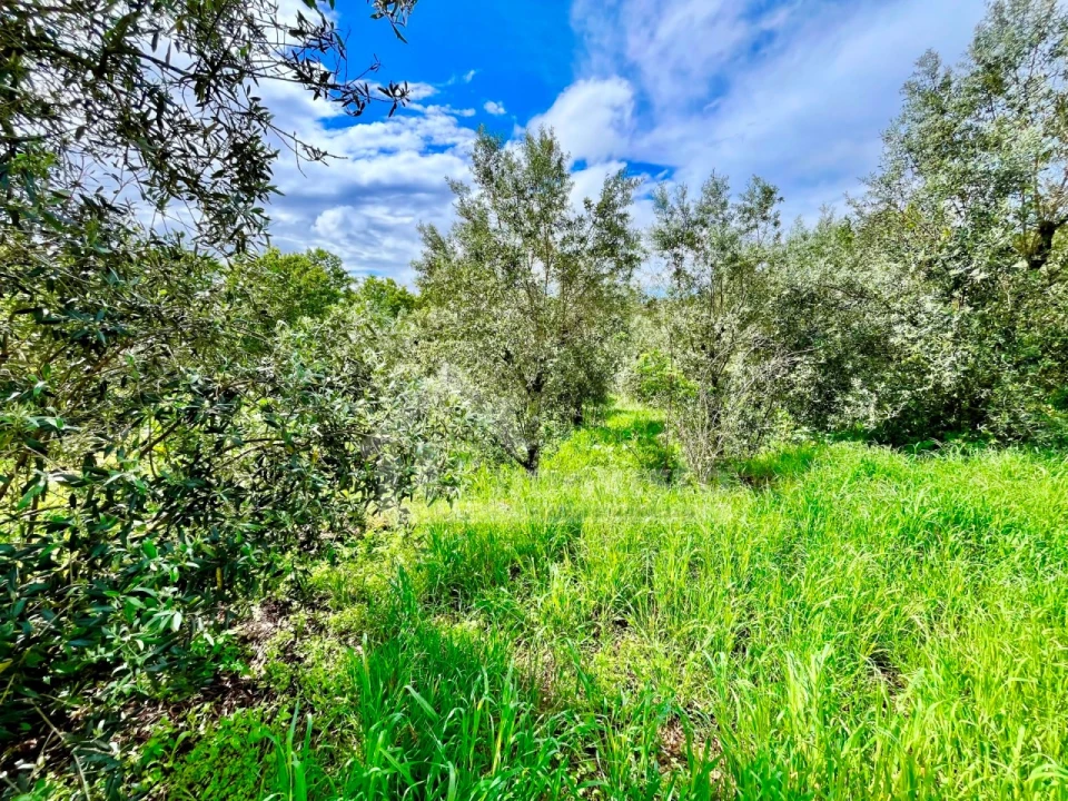 Moradia T4 para Venda em Figueiró dos Vinhos e Bairradas Foto 12