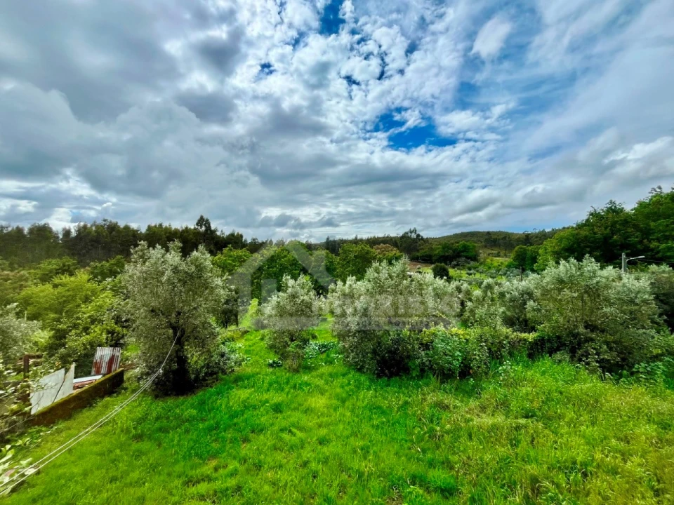 Moradia T4 para Venda em Figueiró dos Vinhos e Bairradas Foto 20