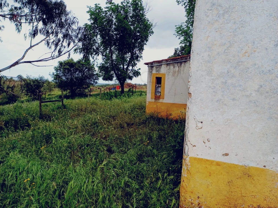 Quinta para Venda em Borba (Matriz) Foto 18