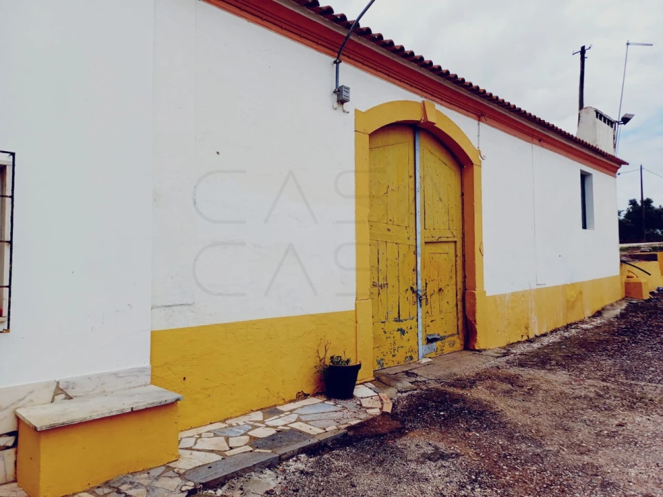 Quinta para Venda em Borba (Matriz) Foto 4