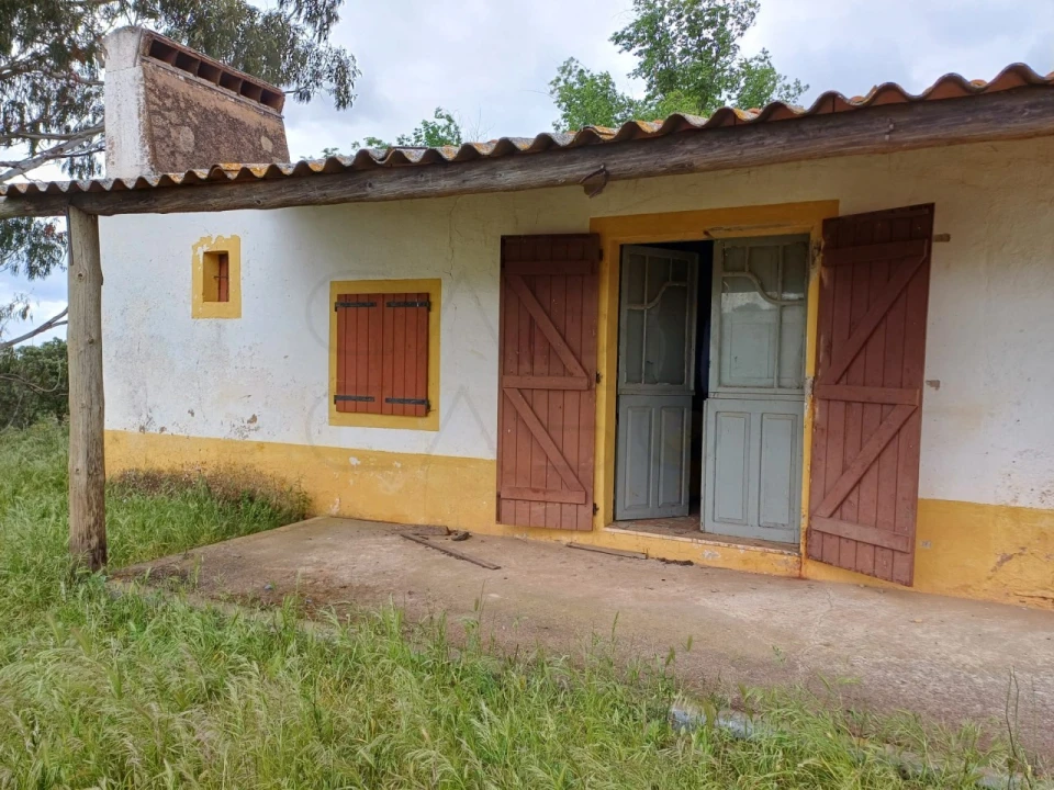 Quinta para Venda em Borba (Matriz) Foto 19