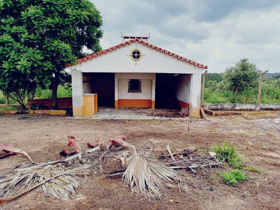 Quinta para Venda em Borba (Matriz) Foto 5
