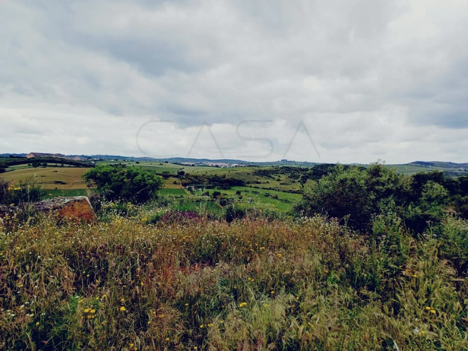 Quinta para Venda em Borba (Matriz) Foto 21