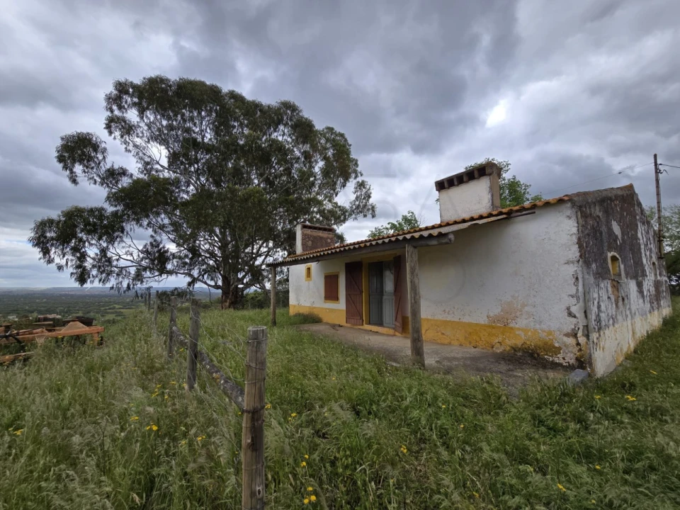 Quinta para Venda em Borba (Matriz) Foto 30