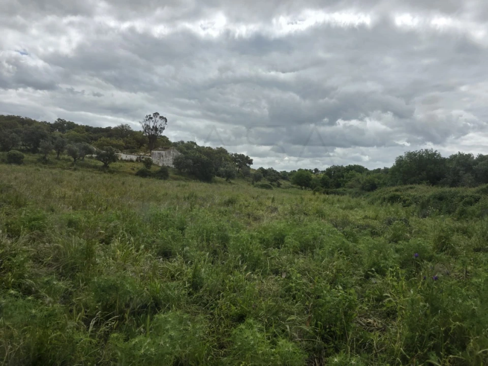 Quinta para Venda em Borba (Matriz) Foto 31