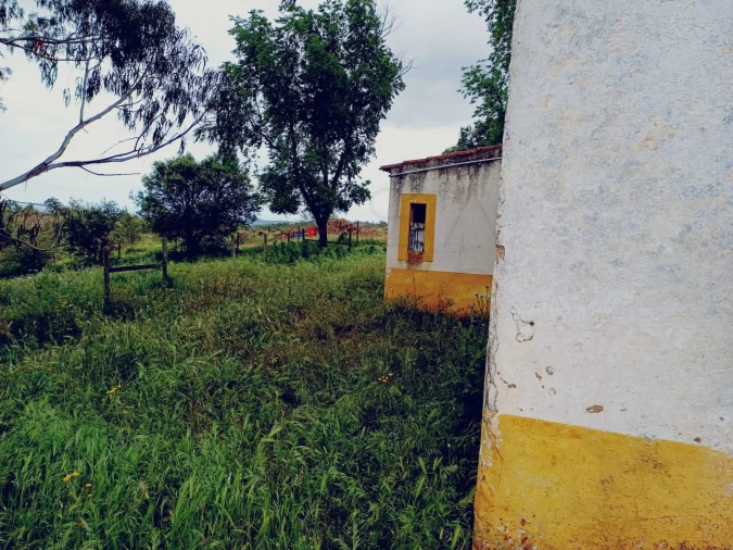 Quinta para Venda em Borba (Matriz) Foto 18
