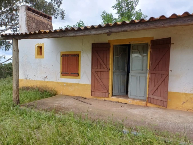 Quinta para Venda em Borba (Matriz) Foto 19