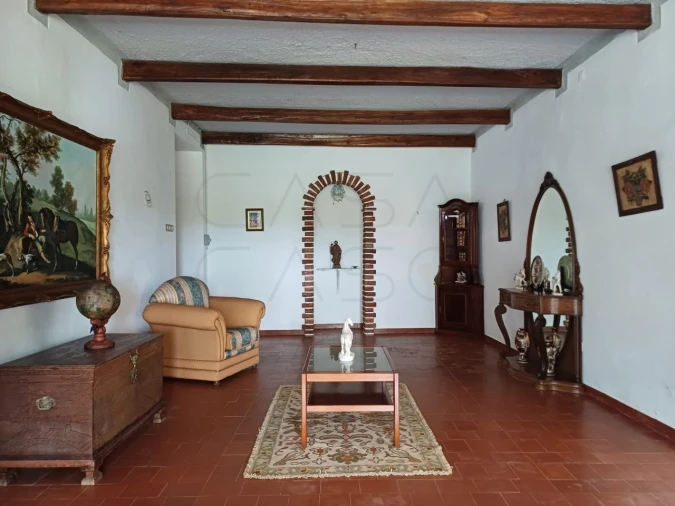 Quinta para Venda em Borba (Matriz) Foto 10