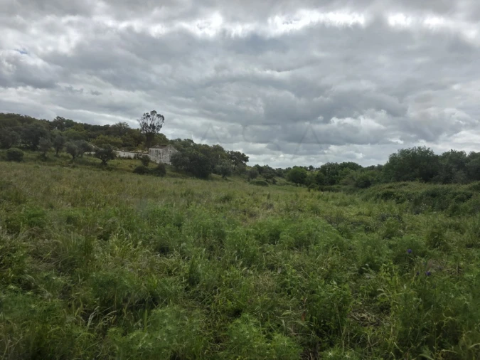 Quinta para Venda em Borba (Matriz) Foto 31