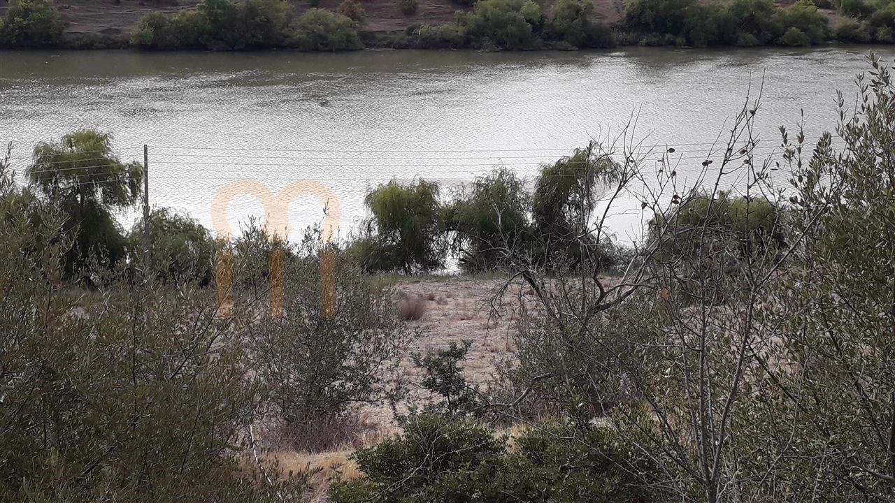 Terreno Agricola ou Rústico para Venda em Santana de Cambas Foto 1
