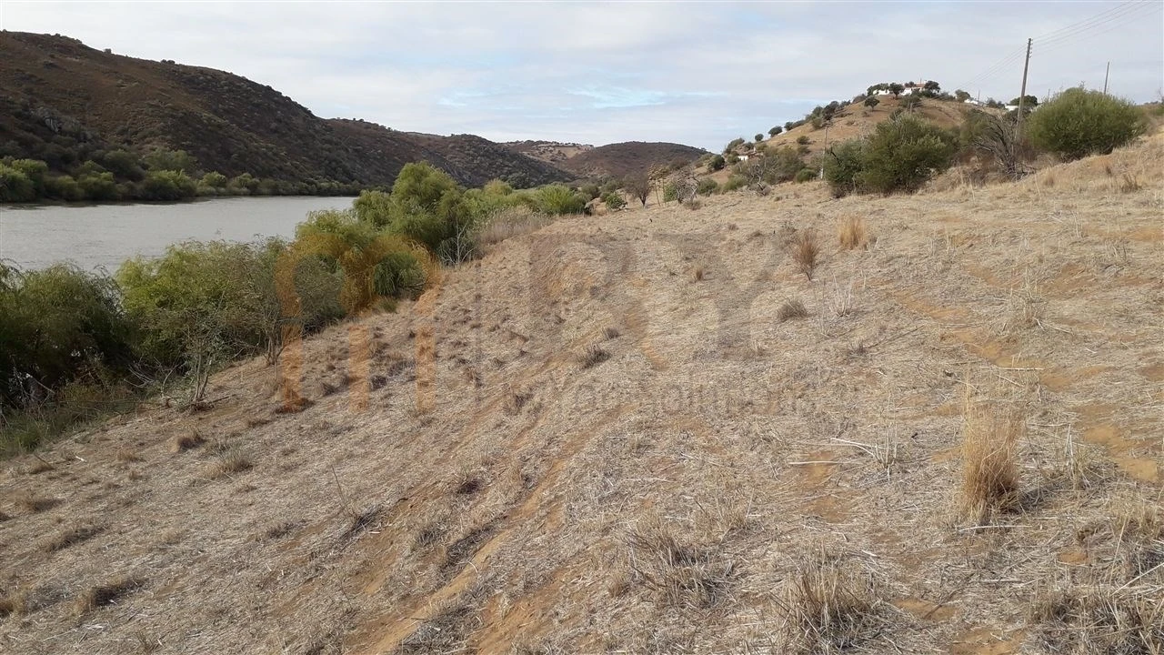 Terreno Agricola ou Rústico para Venda em Santana de Cambas Foto 7
