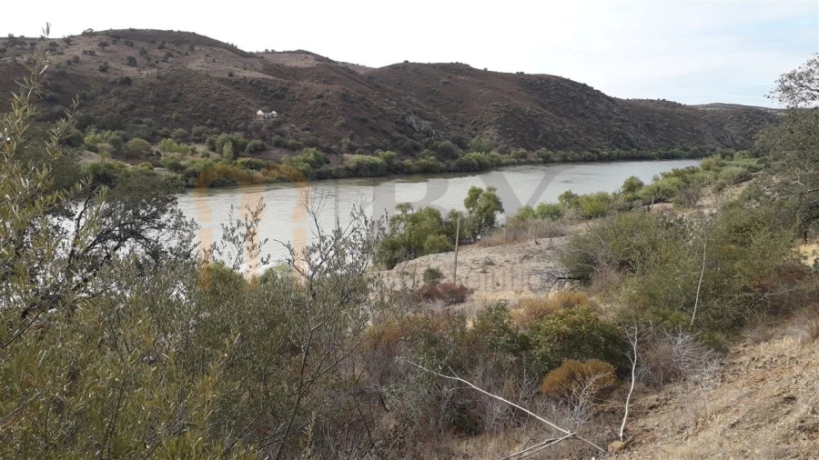 Terreno Agricola ou Rústico para Venda em Santana de Cambas Foto 2