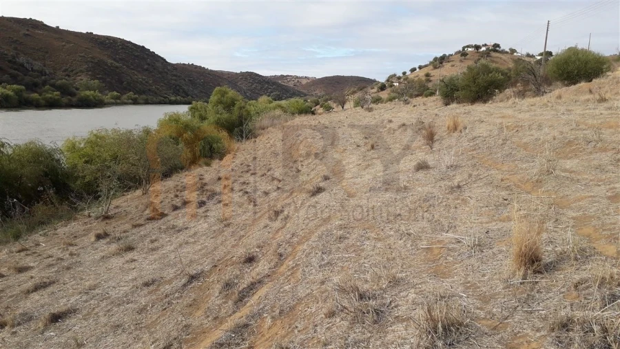 Terreno Agricola ou Rústico para Venda em Santana de Cambas Foto 7