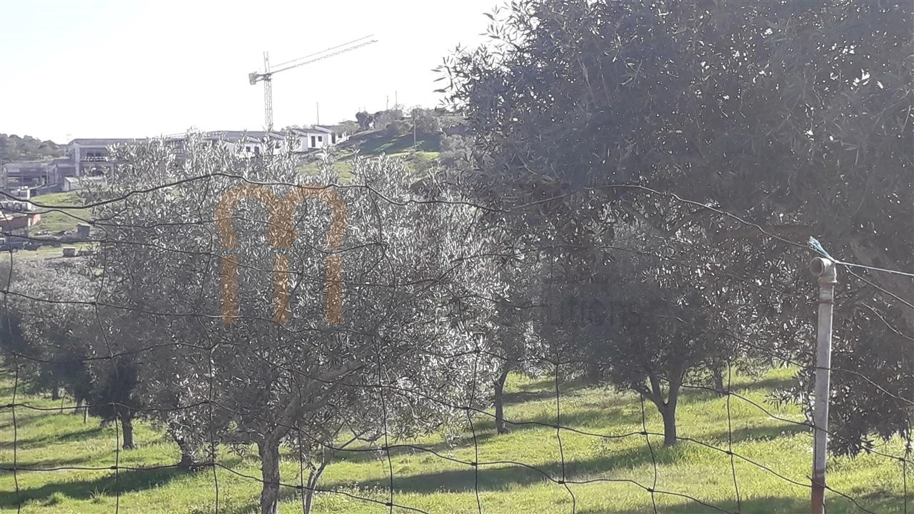 Quinta para Venda em São Miguel do Pinheiro, São Pedro de Solis, São Sebastião dos Carros Foto 2