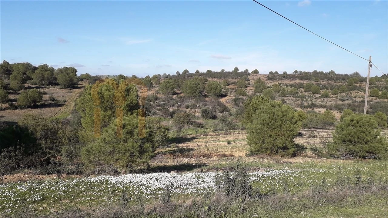 Quinta para Venda em São Miguel do Pinheiro, São Pedro de Solis, São Sebastião dos Carros Foto 4