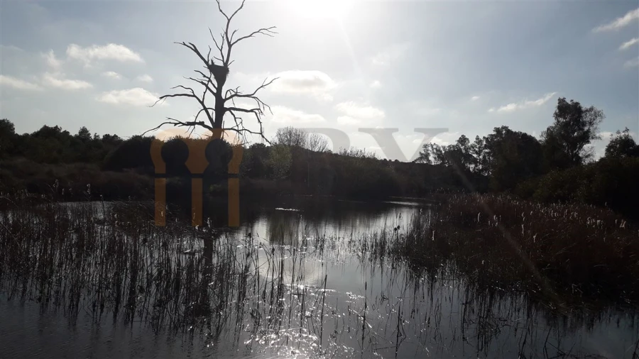 Quinta para Venda em São Miguel do Pinheiro, São Pedro de Solis, São Sebastião dos Carros Foto 6